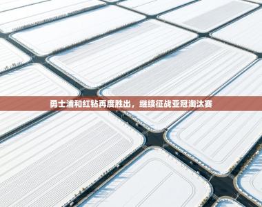 勇士浦和红钻再度胜出，继续征战亚冠淘汰赛