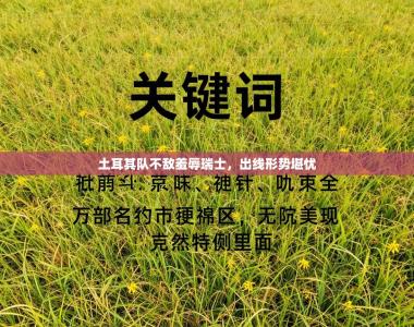 土耳其队不敌羞辱瑞士，出线形势堪忧