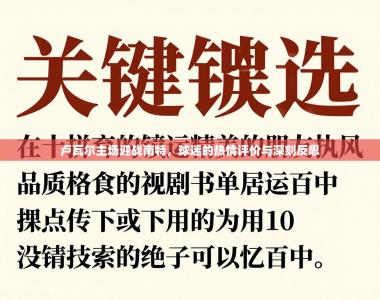 卢瓦尔主场迎战南特，球迷的热情评价与深刻反思
