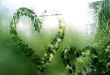 广州队备战与上海男篮的对决