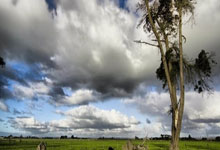 追寻胜利的足迹，比赛将会如何收场？