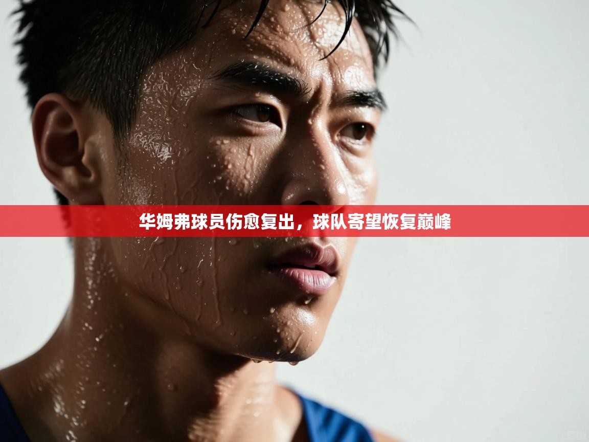 华姆弗球员伤愈复出,球队寄望恢复巅峰 第2张
