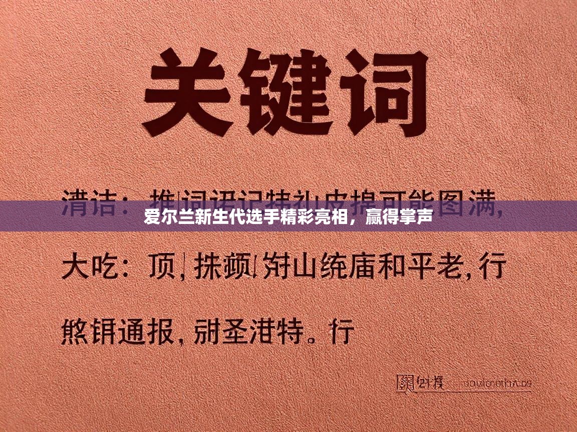 爱尔兰新生代选手精彩亮相,赢得掌声 第2张