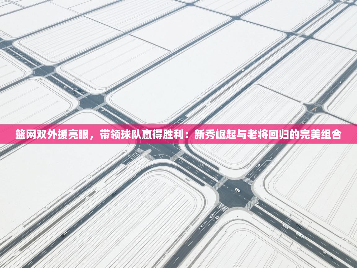 篮网双外援亮眼，带领球队赢得胜利：新秀崛起与老将回归的完美组合  第1张