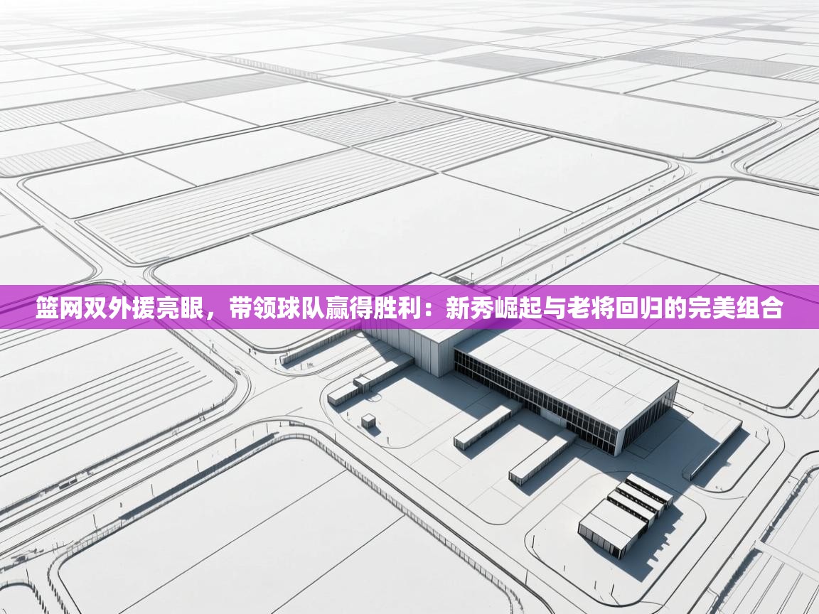 篮网双外援亮眼，带领球队赢得胜利：新秀崛起与老将回归的完美组合  第2张