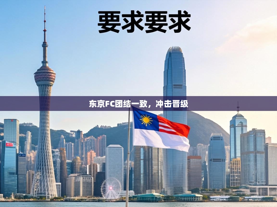 东京FC团结一致,冲击晋级 第1张