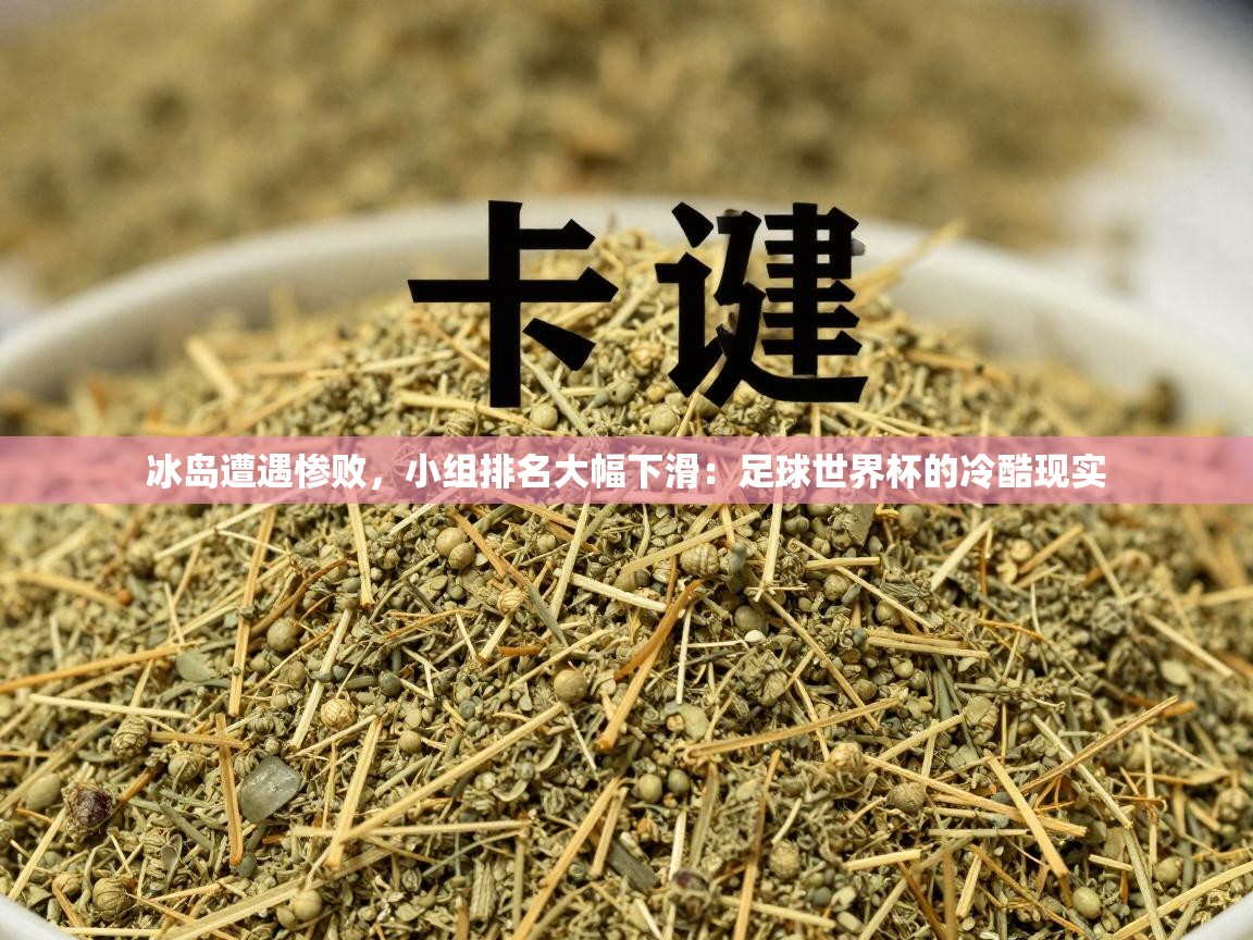 冰岛遭遇惨败,小组排名大幅下滑:足球世界杯的冷酷现实 第2张