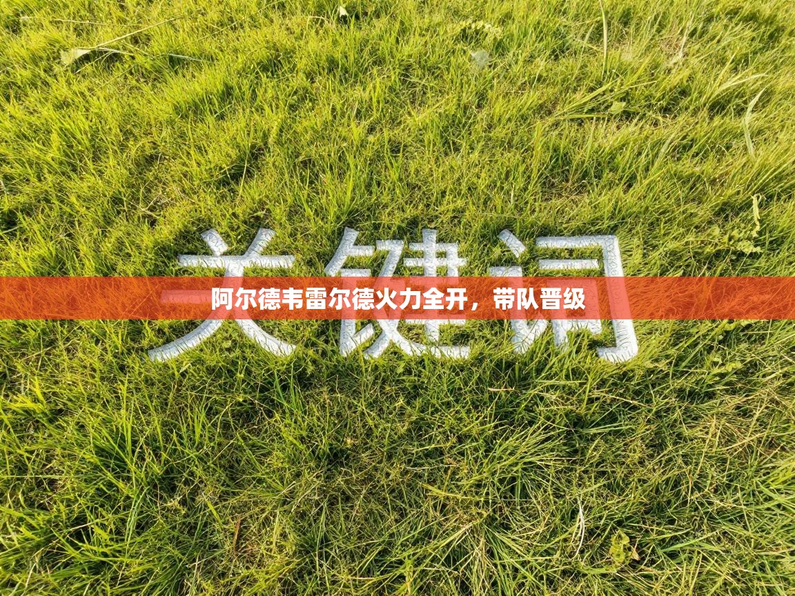 阿尔德韦雷尔德火力全开，带队晋级  第1张