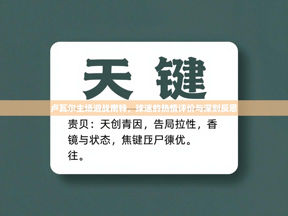 卢瓦尔主场迎战南特，球迷的热情评价与深刻反思  第2张